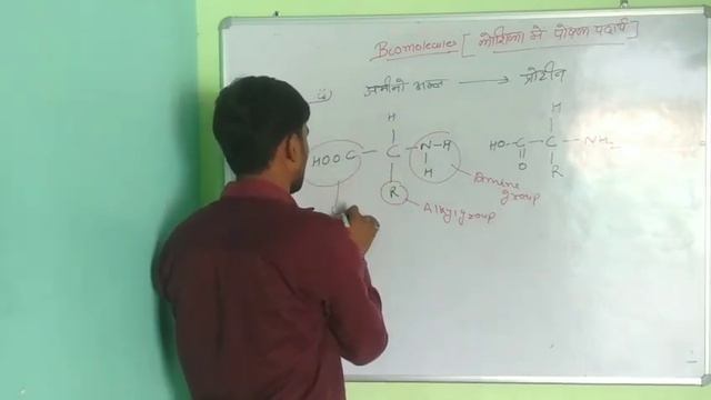 Basic of Biomolecules ....By RJ