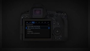 CANON EOS R5 Mark II TESTED and REVIEW Bird photography