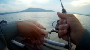 Морская ловля с лодки на лайтовый спиннинг. Часть 4