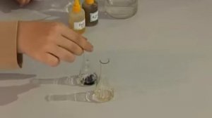 Качественные реакции на железо (II)