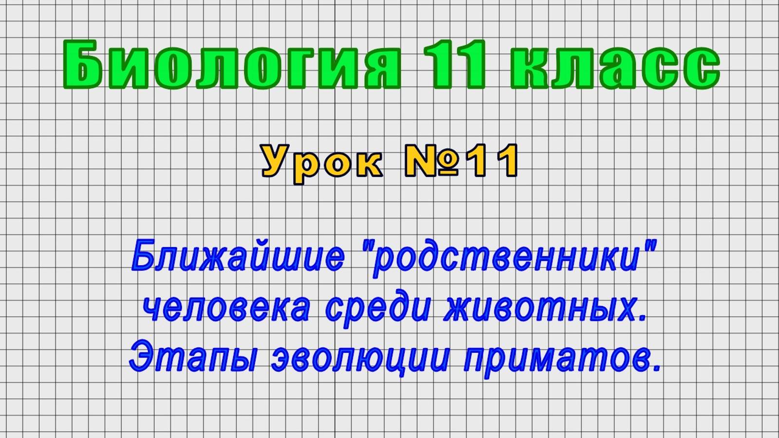 Биология 11 класс (Урок№11 - Ближайшие "родственники" чел. среди животных. Этапы эволюции приматов.)