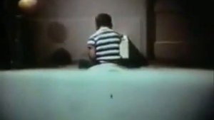 Bandura - Bobo doll experiment