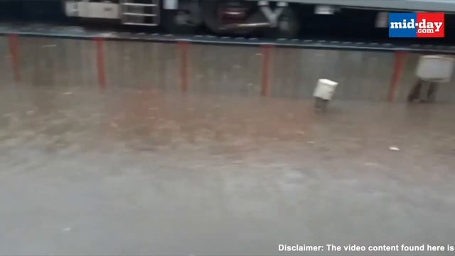 Heavy rains cause flooding in Mumbai, local trains stopped  | Mumbai Rain Updates
