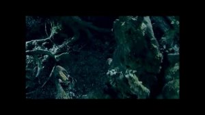 Властелин Колец: Возвращение короля (3 часть)