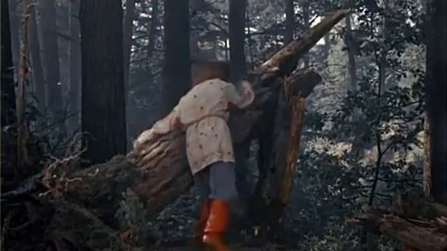 Морозко - Сказка 1964 год
