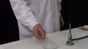 Проба Бейльштейна