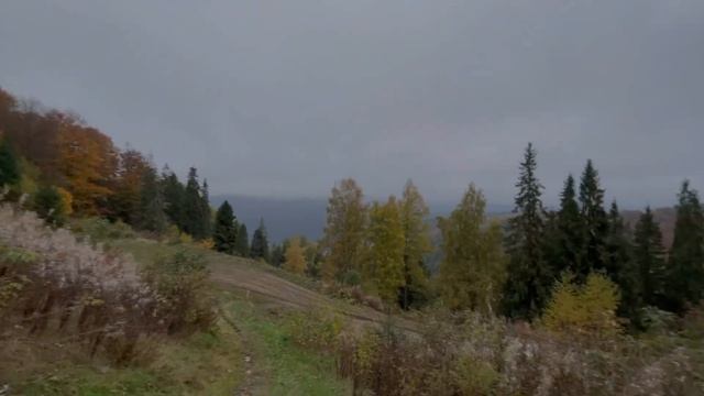 Карпаты Славсько - Захар Беркут осень 2021 смотреть онлайн