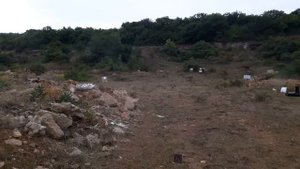 TG-2 vs Сайга 410 тактическая стрельба