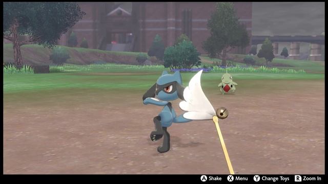 Pokemon Sword & Shield - How To Evolve Riolu Into Lucario