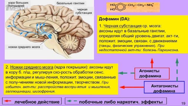 «Медицина в контексте», тема: «Химия мозга: медиаторы и психотропные препараты». Гость: Дубынин В.А.