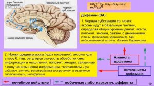 «Медицина в контексте», тема: «Химия мозга: медиаторы и психотропные препараты». Гость: Дубынин В.А.
