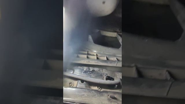 scene_output.mp4