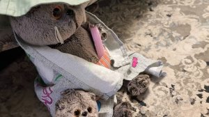 4 серия сериал сокровища древних руин " в Крыму "