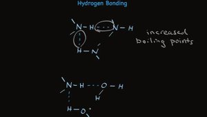 Properties of Amines