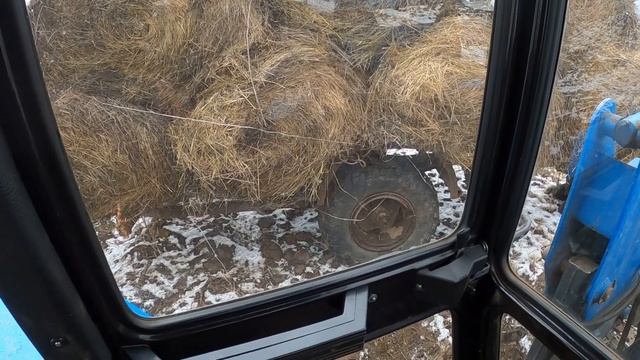 Деревенские будни: возим сено едим за мхом