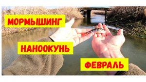 Мормышинг. Наноокунь в феврале.