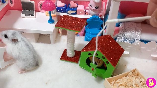 ХОМЯЧКИ СЧАСТЛИВЫ**МИНИ ДОМИК ДЛЯ ПИТОМЦА смотреть онлайн