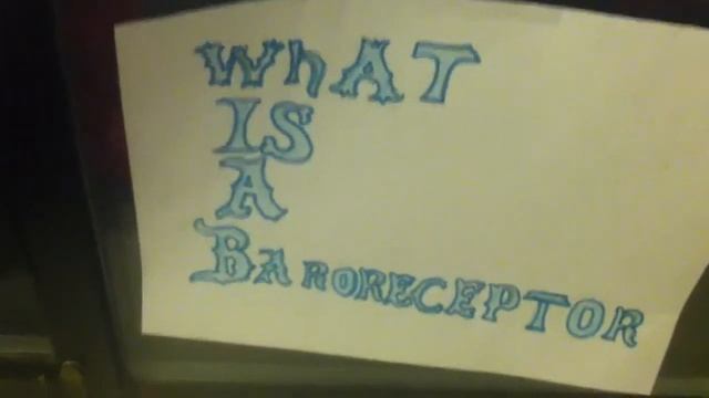 Jocelyn modeling project: baroreceptor control of blood pressure смотреть онлайн