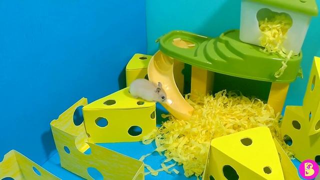 СЫРНЫЙ ЛАБИРИНТ или ИГРОВАЯ КОМНАТА для МАЛЫШЕЙ ХОМЯЧКОВ смотреть онлайн