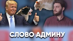 Енот на Камчатке и мемы про победу Трампа / «Слово админу»