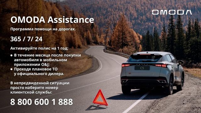 Omoda Assistance