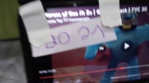 Эволюция гуджитсу  2019,2020, 2021,2022