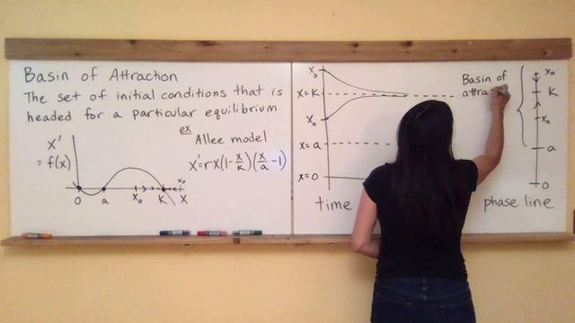 Ecology Dynamics Section 3.5: Basins of Attraction смотреть онлайн