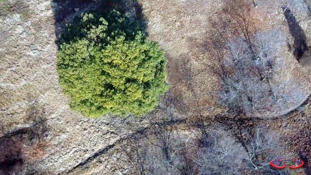 Litchi + Vr BOX + Mavic Pro смотреть онлайн