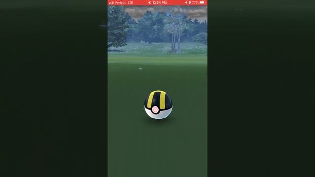 Random Shiny Zigzagoon In Pokémon GO! смотреть онлайн