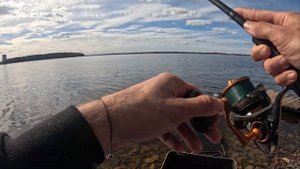 СОРЕВНОВАНИЯ ПО ФИДЕРУ / РЫБАЛКА В УДОМЛЕ / FROS FISHING