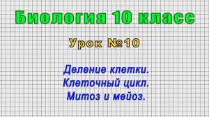 Биология 10 класс (Урок№10 - Деление клетки. Клеточный цикл. Митоз и мейоз.)