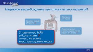 Салофальк гранулы