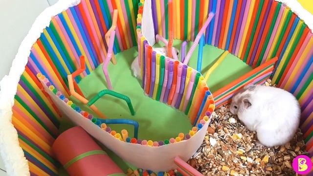 ТОРТИК КВЕСТ из ТРЕХ СЛОЕВ ДЛЯ ХОМЯЧКОВ*** УРА*50000 ПОДПИСЧИКОВ смотреть онлайн