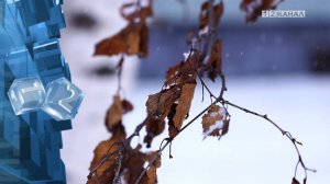 О погоде на предстоящую неделю рассказали синоптики кемеровского гидрометцентра