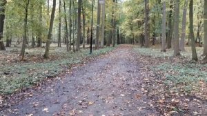 Дольный Бжег парк 24.10.2020