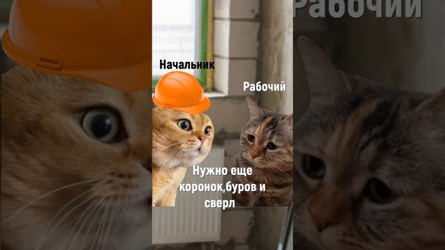 Начальник пришел на работу! #прикол #ремонт #инструменты