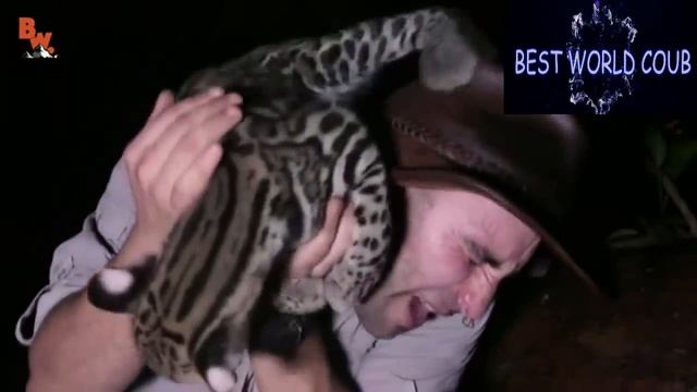 BEST WORLD COUB #60 Лучшие приколы ФЕВРАЛЬ 2017