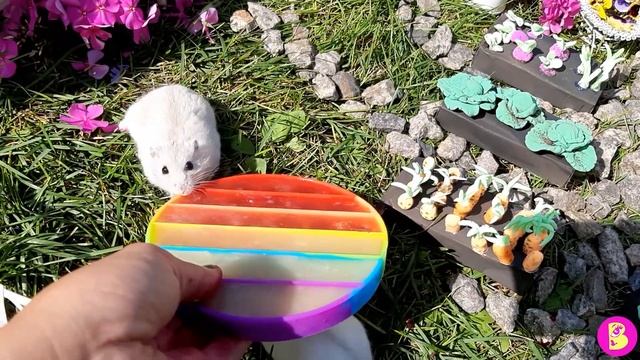 POP IT ЭКСПЕРИМЕНТЫ** ХОМЯЧКИ НА ПОЗИТИВЕ** ДЕЛАЕМ ПОП ИТ МАРМЕЛАДКИ и ПОП ЛЕДЫШКИ смотреть онлайн