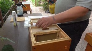 Вывод пчелиных маток 2021г.