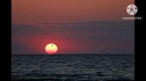 САМЫЙ БЫСТРЫЙ СПОСОБ ПРОБУДИТЬСЯ. Роберт Адамс. Сатсанг