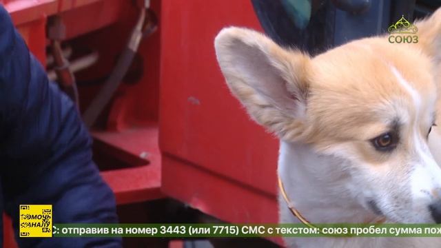 Часовня имени преподобного Ильи Муромца появилась в Ахтубинском районе Астраханской области