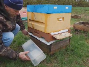 Пасечные весы "Практик"