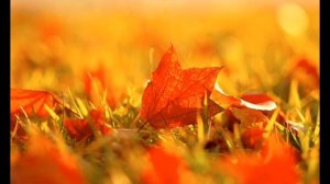 Фильм "Листопад"