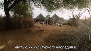 Племя Кайапо в Бразилии: мужчина может иметь несколько жён одновременно