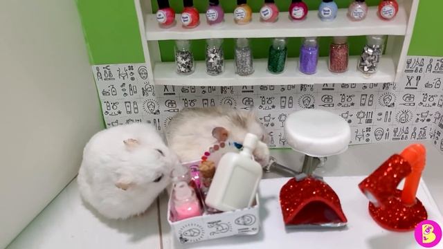 ХОМЯЧКИ В САЛОНЕ КРАСОТЫ*** МИНИ ПАРИКМАХЕРСКАЯ смотреть онлайн