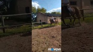 Катание на лошади