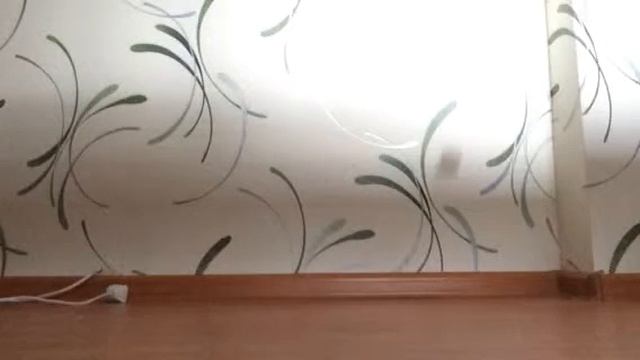 Опыт Юнга 2 Мячик предварительно закручен о ракетку.