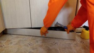 Дезинфектор против пришельцев.