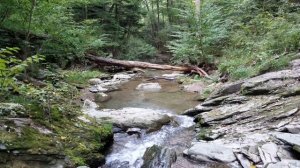 YOU ARE ♡ Today is a GOOD DAY - Morning Affirmations