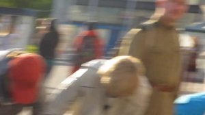 " Meditation " Pakarina 10.05.15